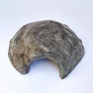Укрытие пещера 17&times;14&times;6см декорация в террариум для рептилий, гекконов, ящериц, змей, пауков 466H-NB-641 фото
