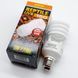 УФ лампа Exo Terra для пустельних рептилій 10.0/25W=UVB150 Е27 Компактна люмінесцентна лампа 1000X-WM-525 фото 6
