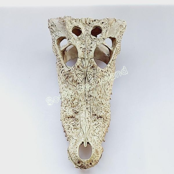 Декорація череп крокодила 21см для рептилій в тераріум Exo Terra Crocodile Skull Схованка для геконів та змій 466R-YV-277 фото