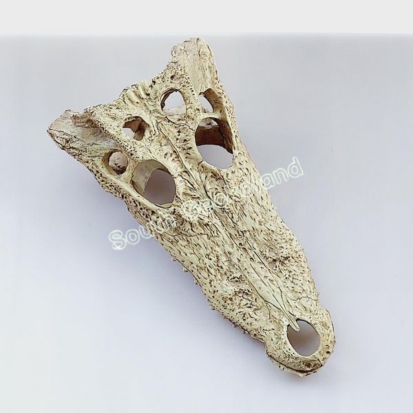 Декорація череп крокодила 21см для рептилій в тераріум Exo Terra Crocodile Skull Схованка для геконів та змій 466R-YV-277 фото