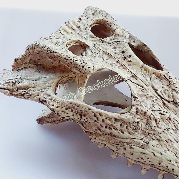 Декорація череп крокодила 21см для рептилій в тераріум Exo Terra Crocodile Skull Схованка для геконів та змій 466R-YV-277 фото