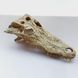 Декорація череп крокодила 21см для рептилій в тераріум Exo Terra Crocodile Skull Схованка для геконів та змій 466R-YV-277 фото 4
