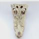 Декорація череп крокодила 21см для рептилій в тераріум Exo Terra Crocodile Skull Схованка для геконів та змій 466R-YV-277 фото 3