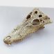 Декорація череп крокодила 21см для рептилій в тераріум Exo Terra Crocodile Skull Схованка для геконів та змій 466R-YV-277 фото 1