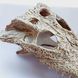 Декорація череп крокодила 21см для рептилій в тераріум Exo Terra Crocodile Skull Схованка для геконів та змій 466R-YV-277 фото 6