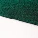 Коврик-субстрат 60*30см зеленый Подстилка в террариум Zoo Med Eco Carpet 1410A-XV-959 фото 4