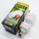 УФ лампа 5.0 25Вт ExoTerra Repti Glo для тропічних рептилій Компактна 25 W, E27 Ультрафіолетова лампа 1000P-GK-765 фото 10