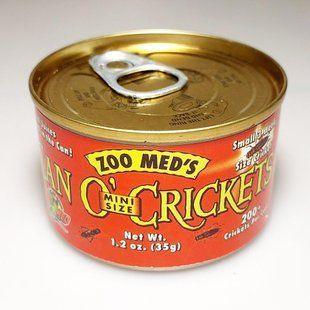 Цвіркуни в банці Консерва для рептилій та амфібій Zoo Med Can O' Mini Crickets 35g 120V-CE-103 фото