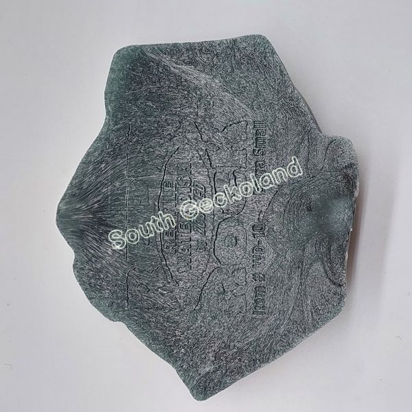 Напувалка-годівниця XS для рептилій Zoo Med Repti Rock Water Dish зелена 715X-BV-737 фото