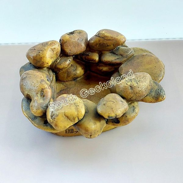 Напувалка 17см для рептилій и амфибий Exo Terra Frog Pond L великий ставок у тераріум для жаб 702W-PK-421 фото