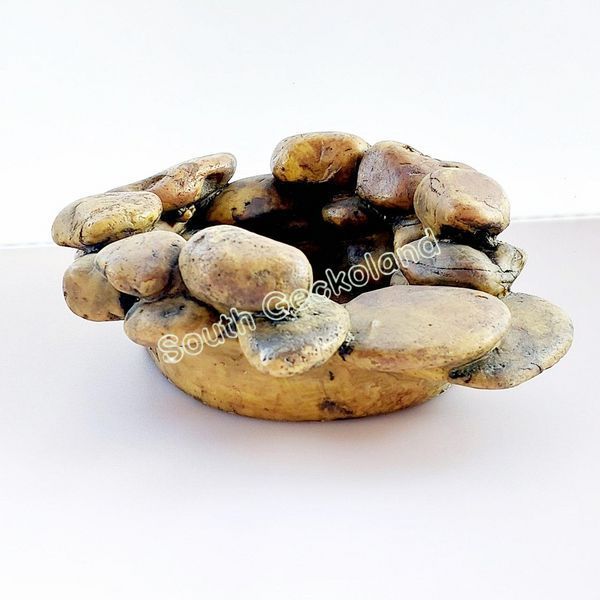 Напувалка 17см для рептилій и амфибий Exo Terra Frog Pond L великий ставок у тераріум для жаб 702W-PK-421 фото