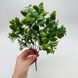 Искусственное растение 30см 5 веток зеленая декорация для рептилий, амфибий Оформление в террариум 805E-SB-109 фото 3