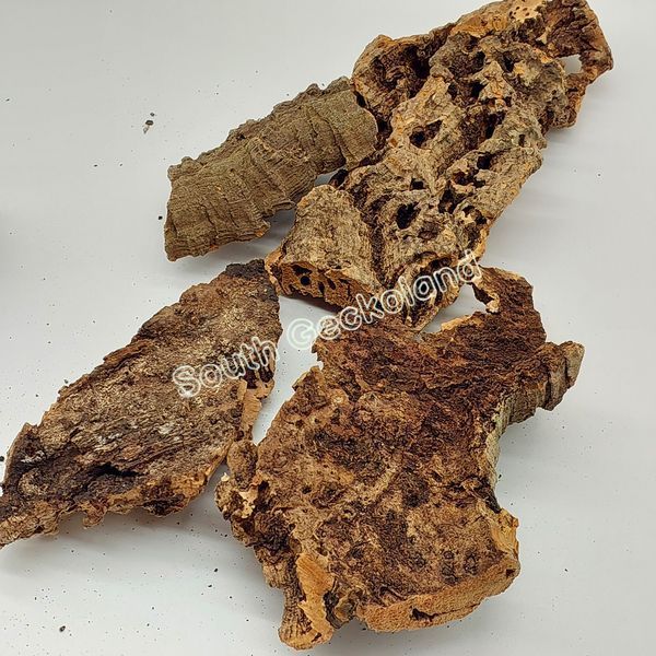 Кора велика 300г коркового дуба грунт субстрат у тераріум для рептилій, павуків, геконів, змій 623R-KT-630 фото